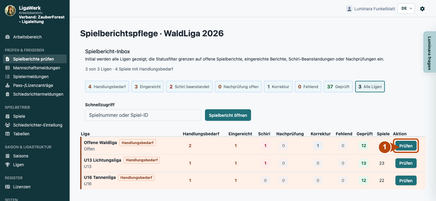 Spielberichtspflege der ausgewählten Saison mit Ligen und Berichtsständen; Nummer eins markiert den Einstieg in eine Liga.